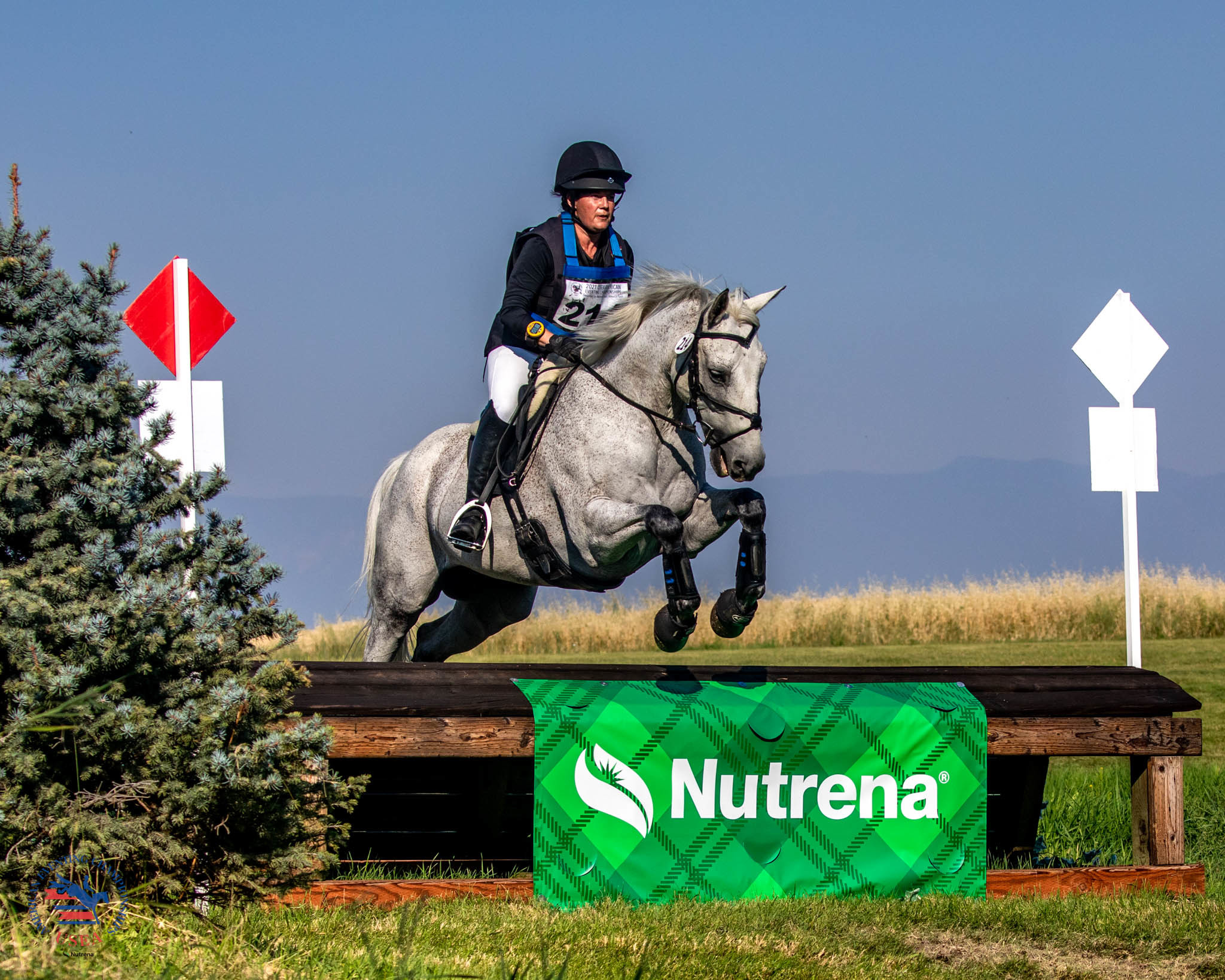 Alyssa Cairo and Paddington. USEA/Hope Carlin Photo