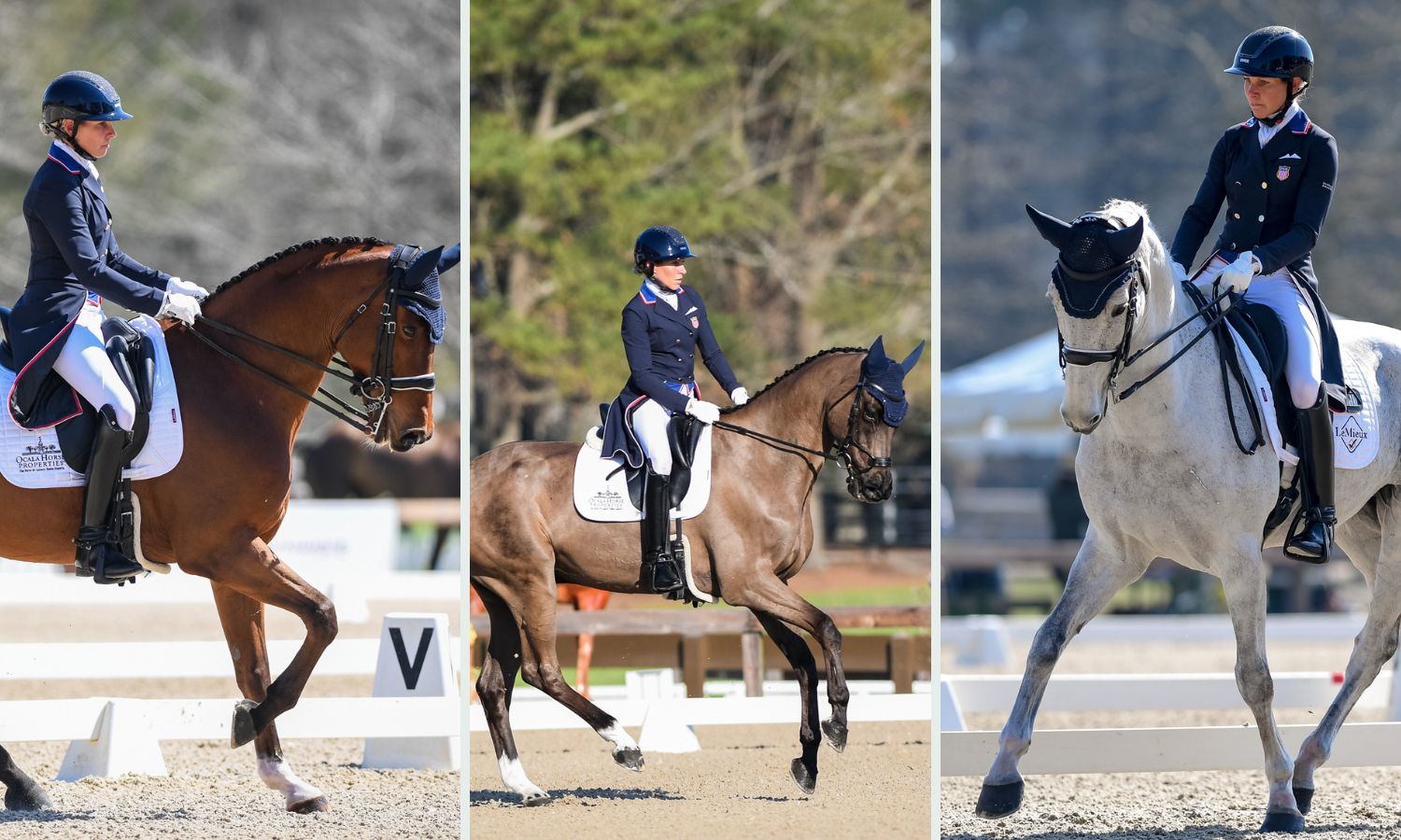 USEA | USEA, United States Eventing Association, Inc. ®