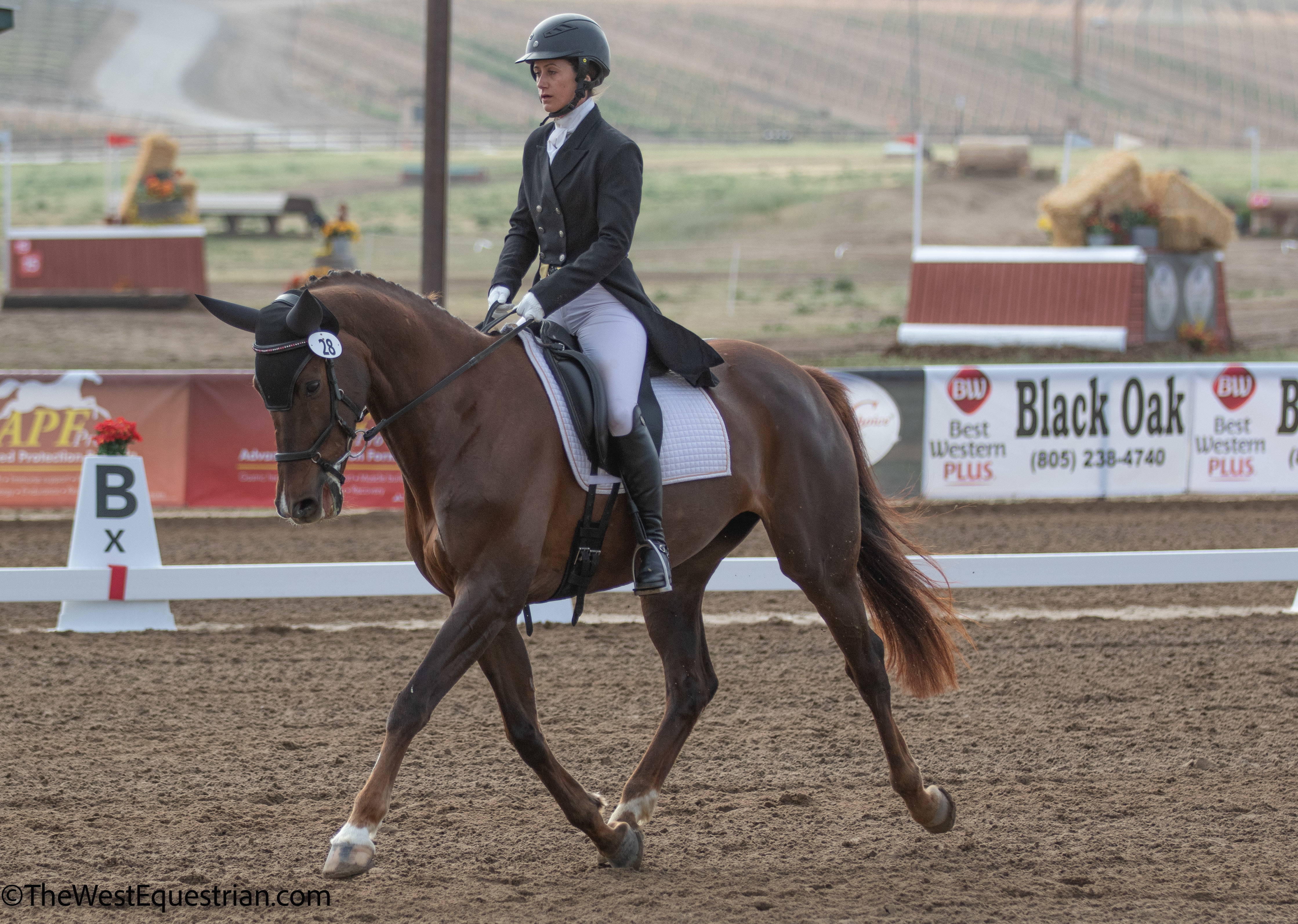 マリリン USEA | Cinzano Captures Inaugural Twin Rivers CCI4*-L Dressage Lead
