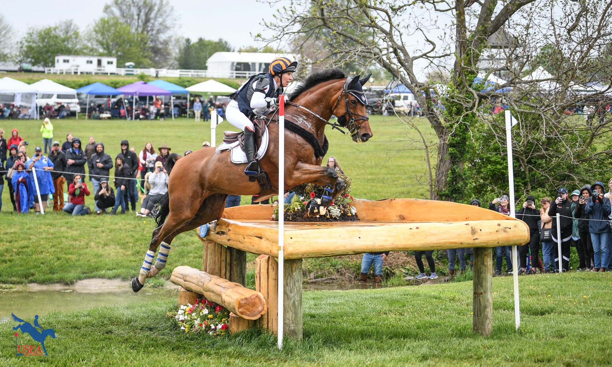 USEA | USEA, United States Eventing Association, Inc. ®