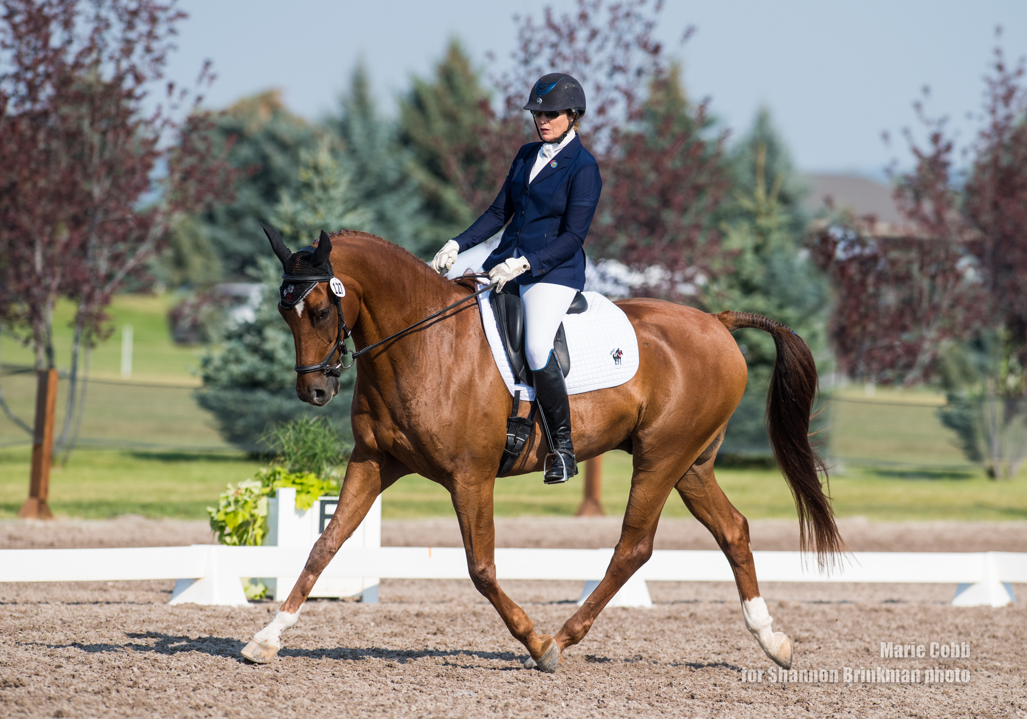 Cindy Kennedy and Third Times The Charm. Shannon Brinkman Photo