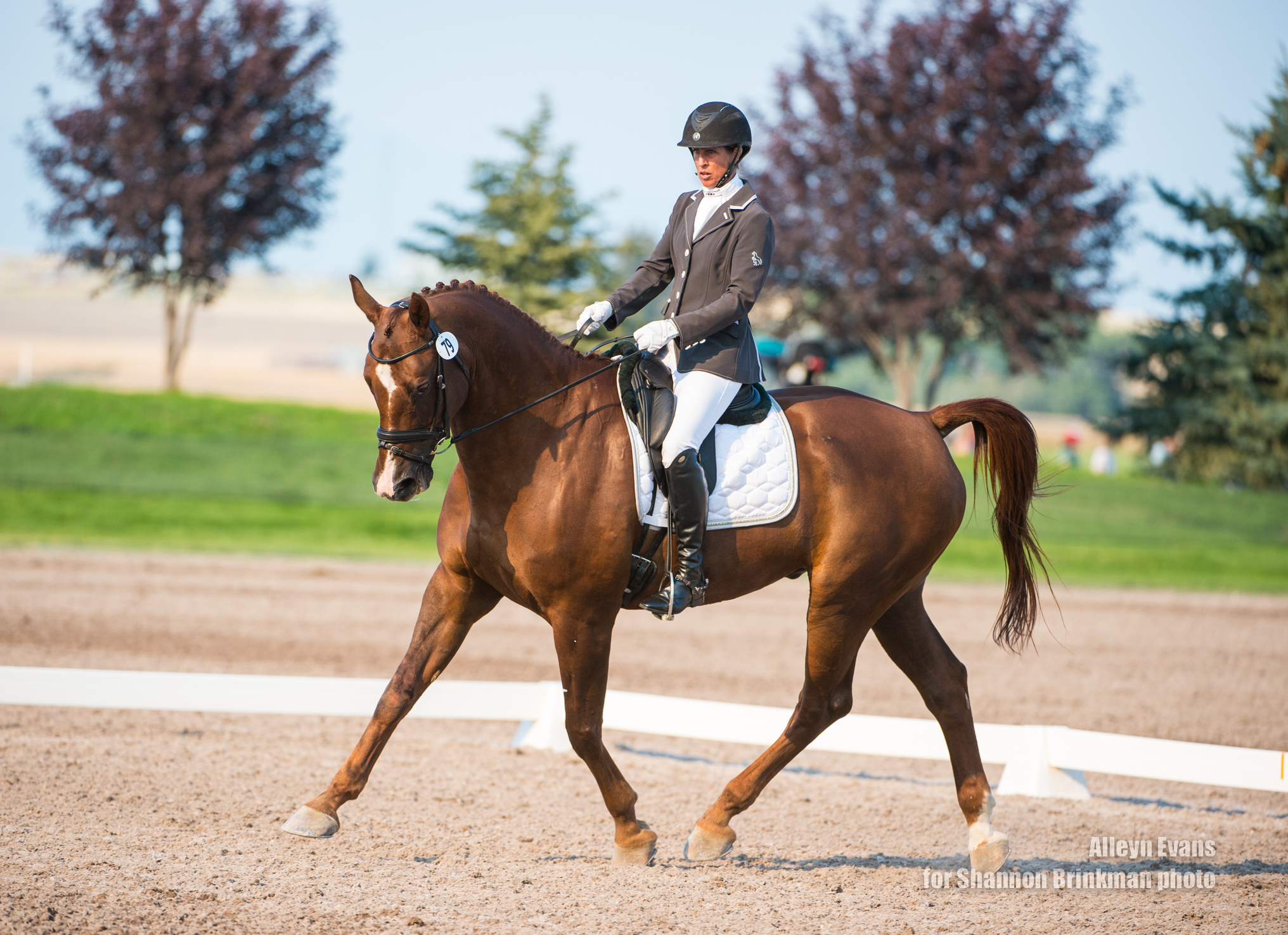 Jennette Scanlon and Zoltaire. Shannon Brinkman Photo