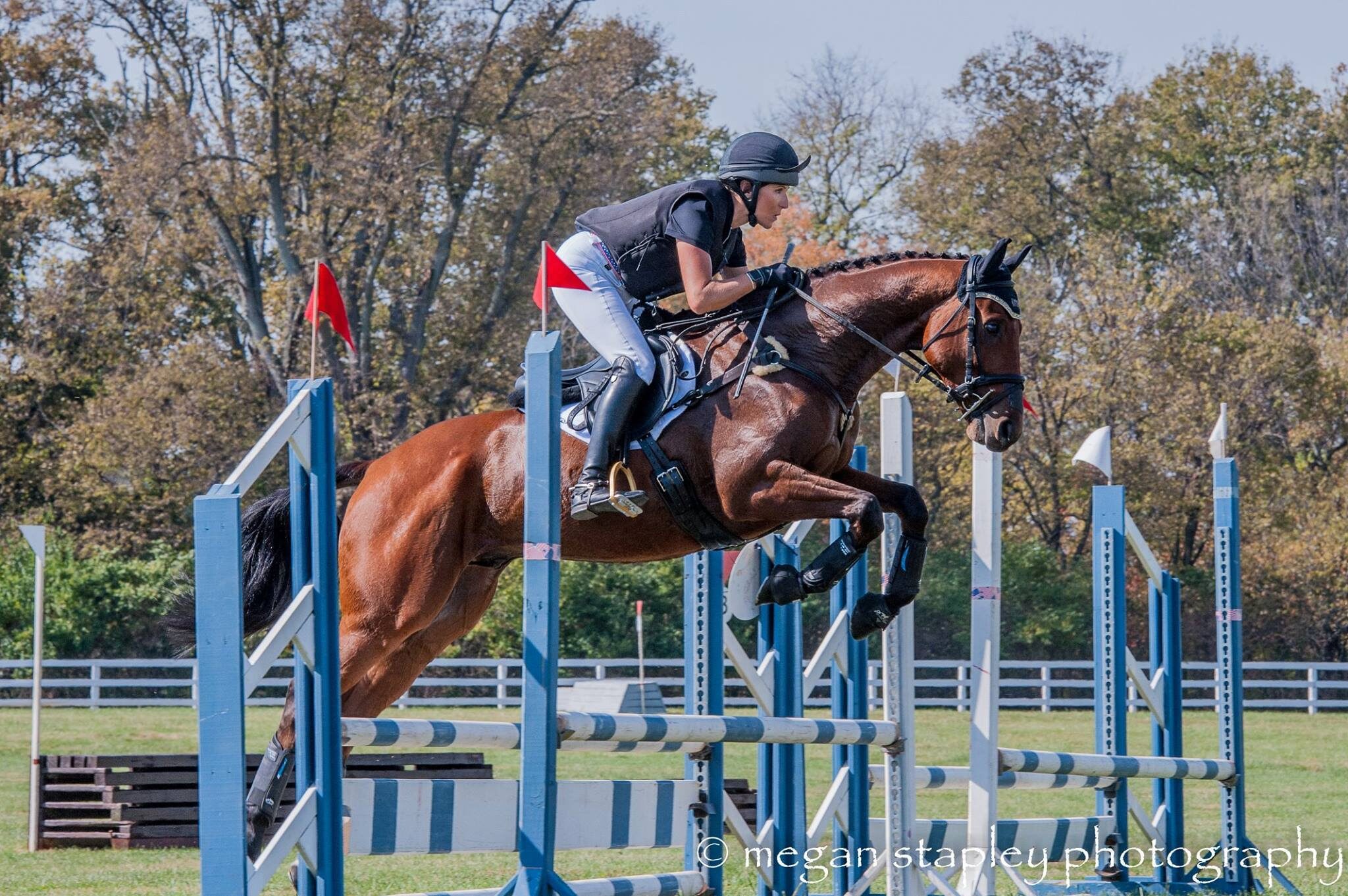 Horse Rsa USEA | Retired Racehorse Project Looks to 2016 After This Year's…