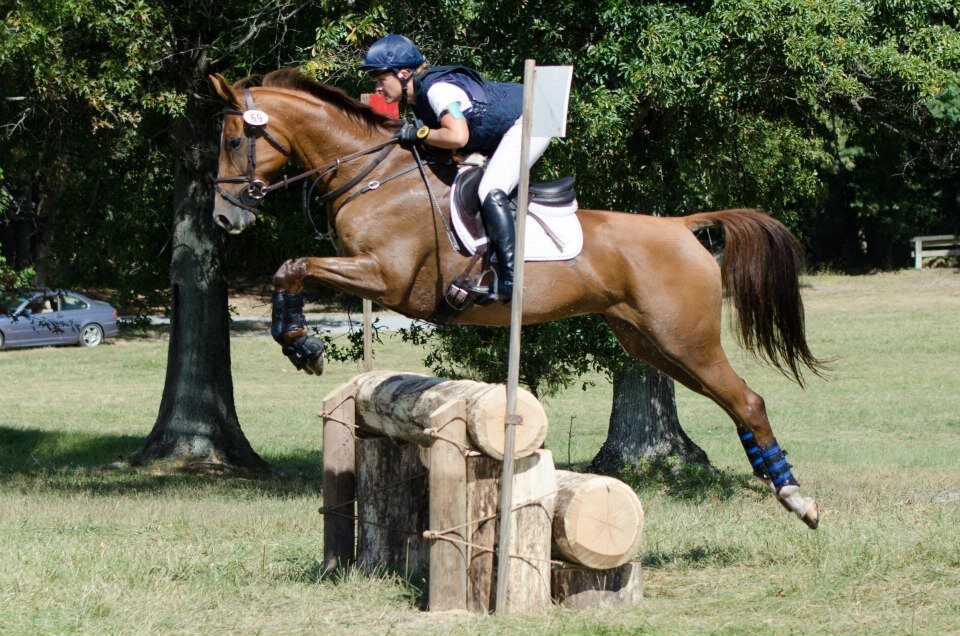 Seneca B Riding Programs USEA | USEA Events A-Z: Seneca Valley Pony Club Horse Trials