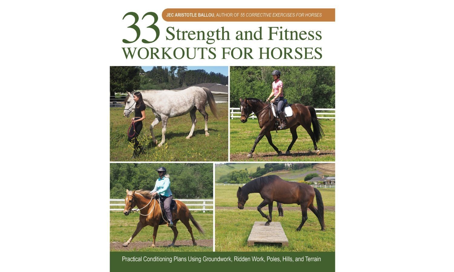 USEA | 33 Strength and Fitness Workouts for Horses