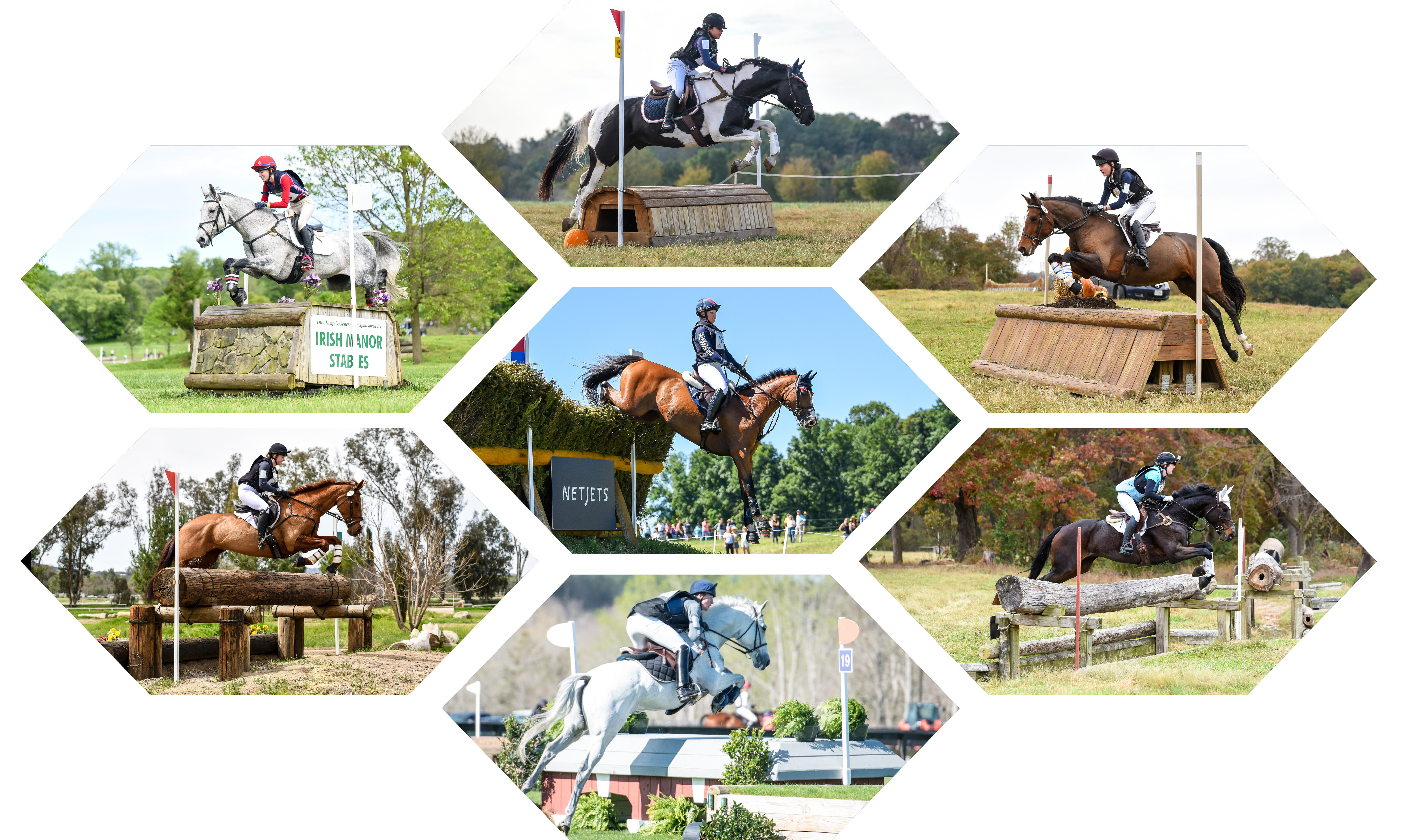 USEA | Rule Refresher: Levels of Horse Trials