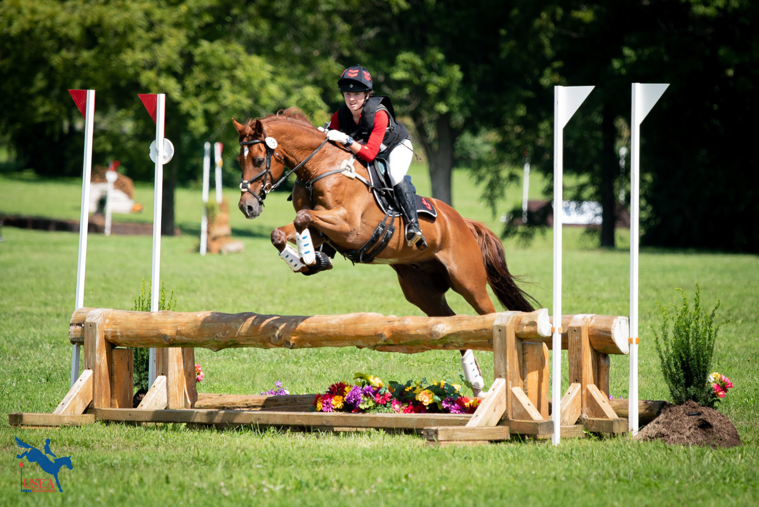 USEA | Safety First: Building Your Own Cross-Country Schooling Course