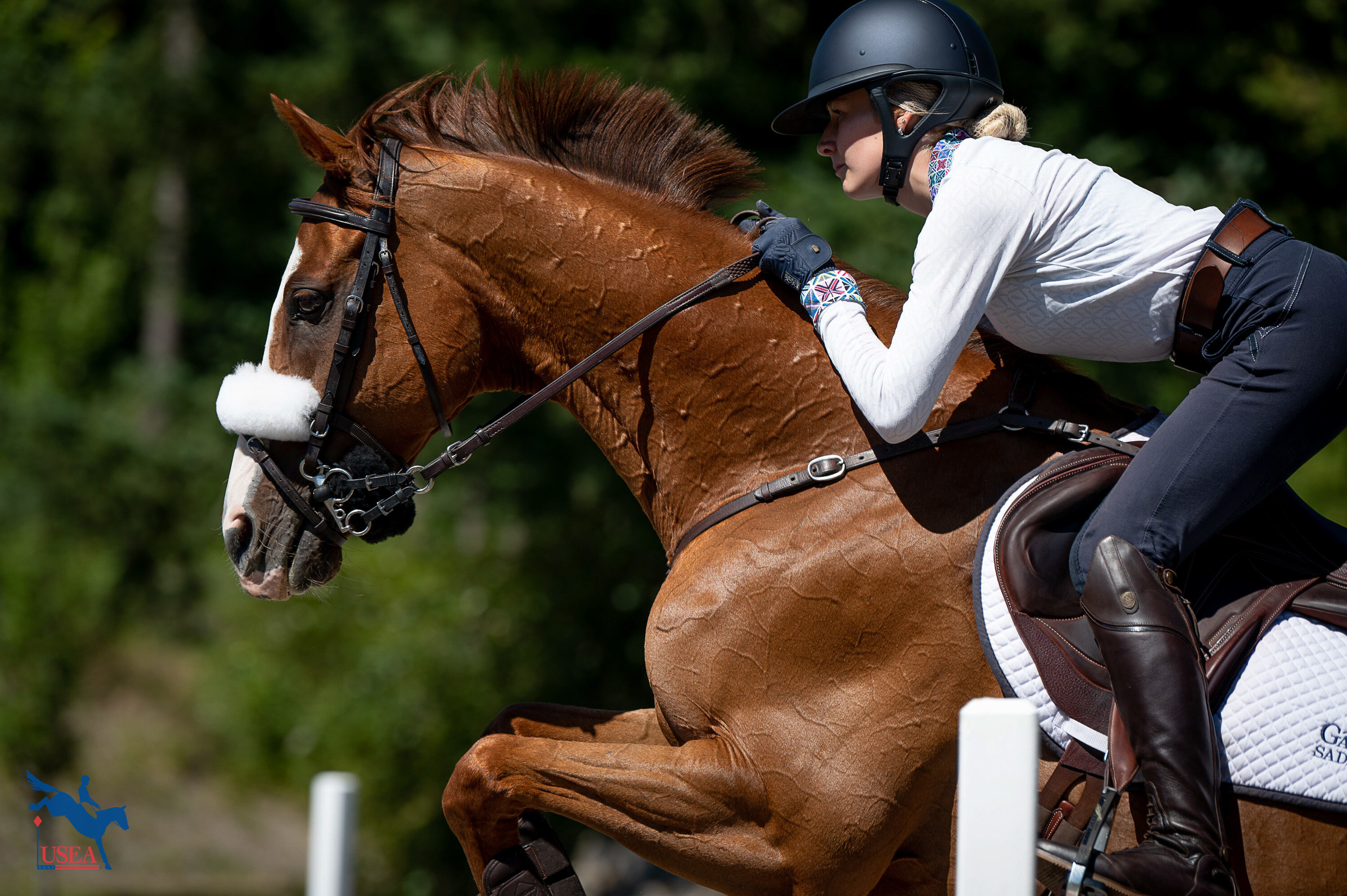 Ride Right With Daniel Stewart: The Equi-librium Programme