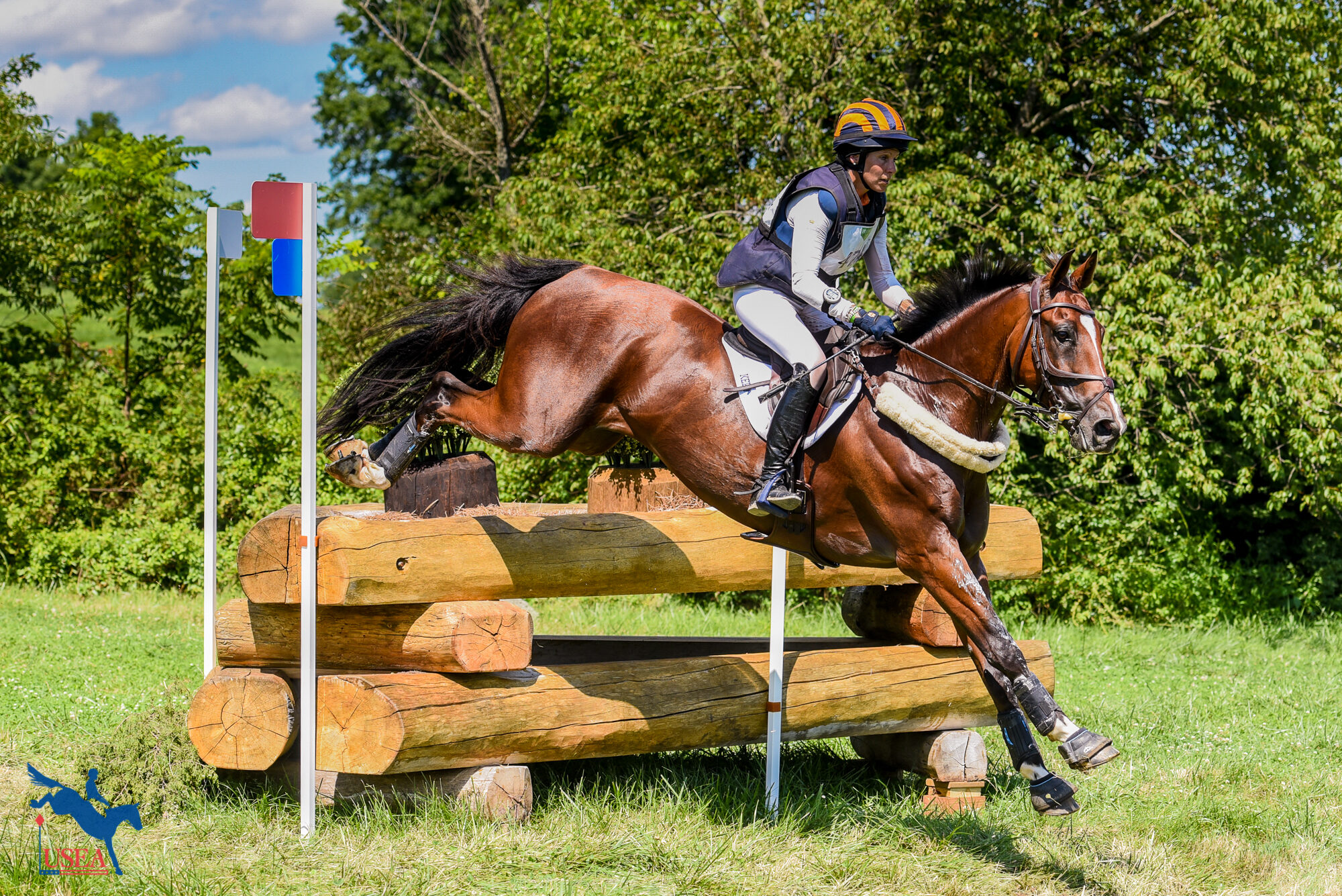 USEA | First Female Wins USEA Rider of the Year Since 1981