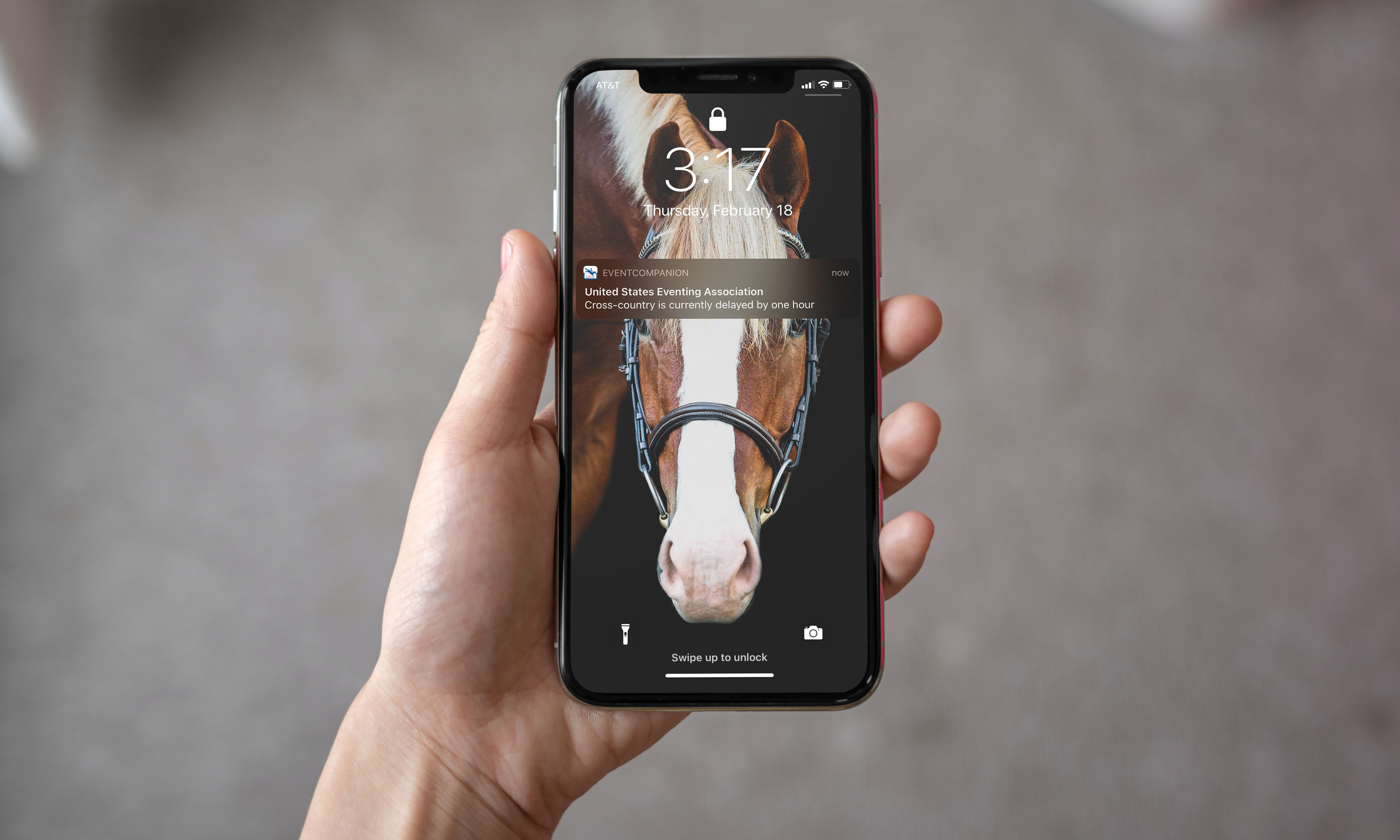 USEA | Push Notifications Now Available on the Event Companion App