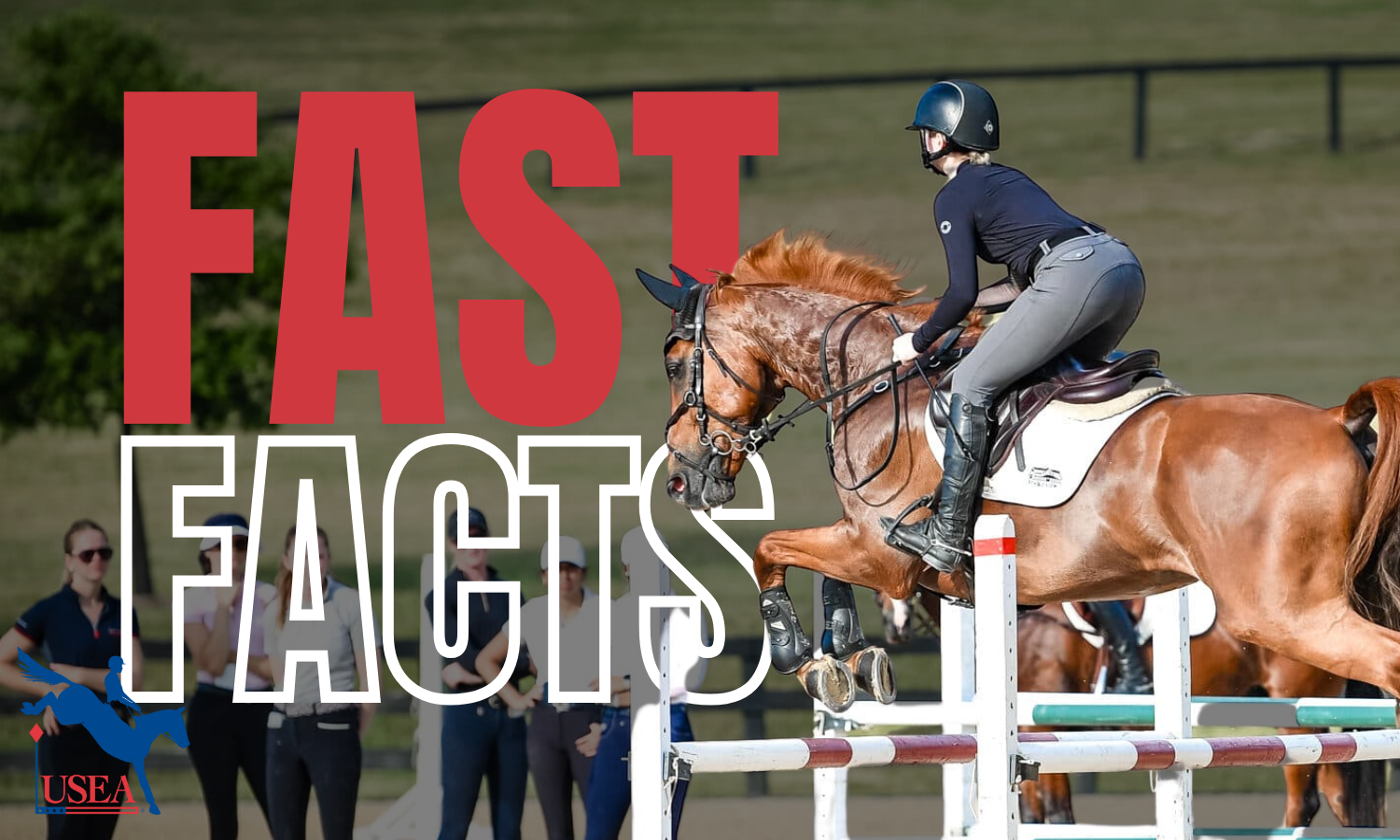 USEA | Fast Facts: 2025 USEA EA21 Regional Clinics