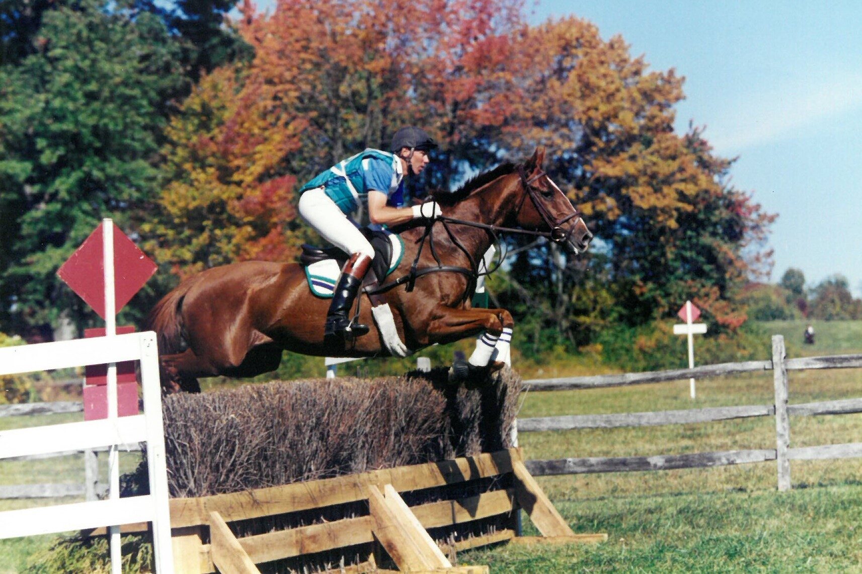 Peter Graham Rider USEA | Memories from the Vet Box with Peter Gray