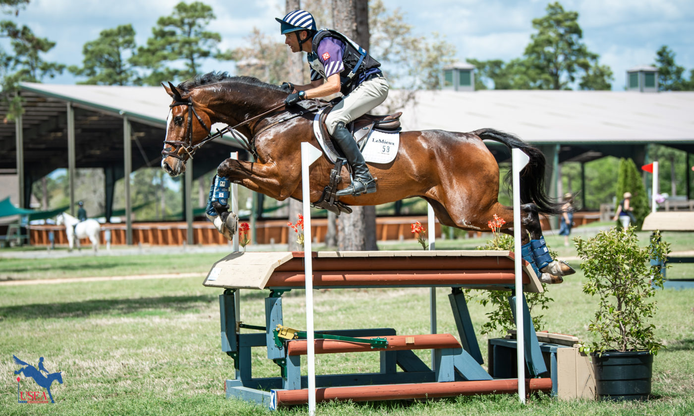 USEA | Commando 3 Carries Martin to Another Stable View CCI4*-S Win