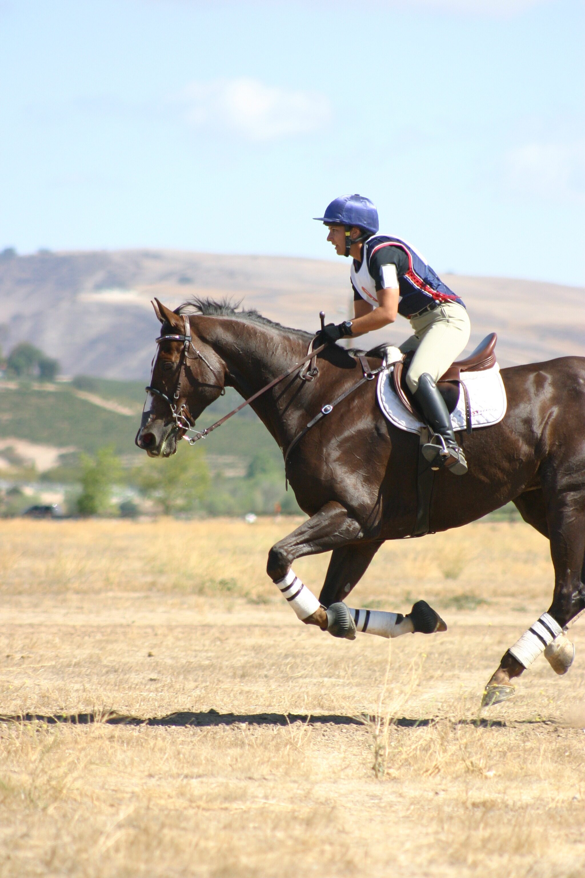 USEA | Rider Responsibility and the Two Track System