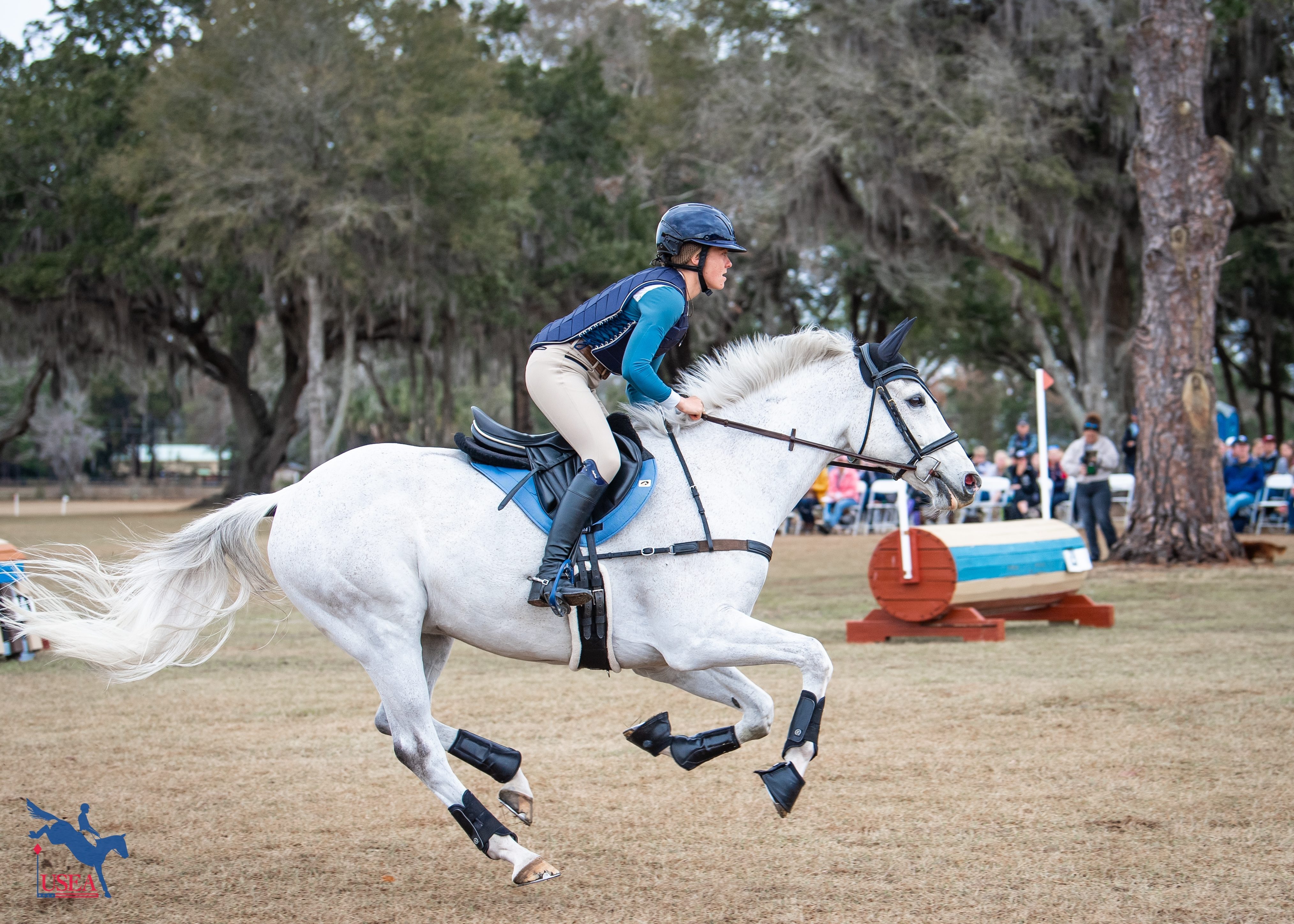 USEA | Save the Date: 2027 Young Event Horse Symposium in Ocala,…