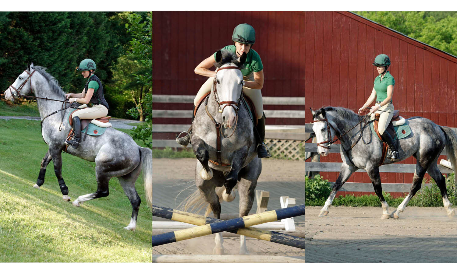 USEA | Key Steps to Safe Cross-Country Riding, Part One: Holistic…