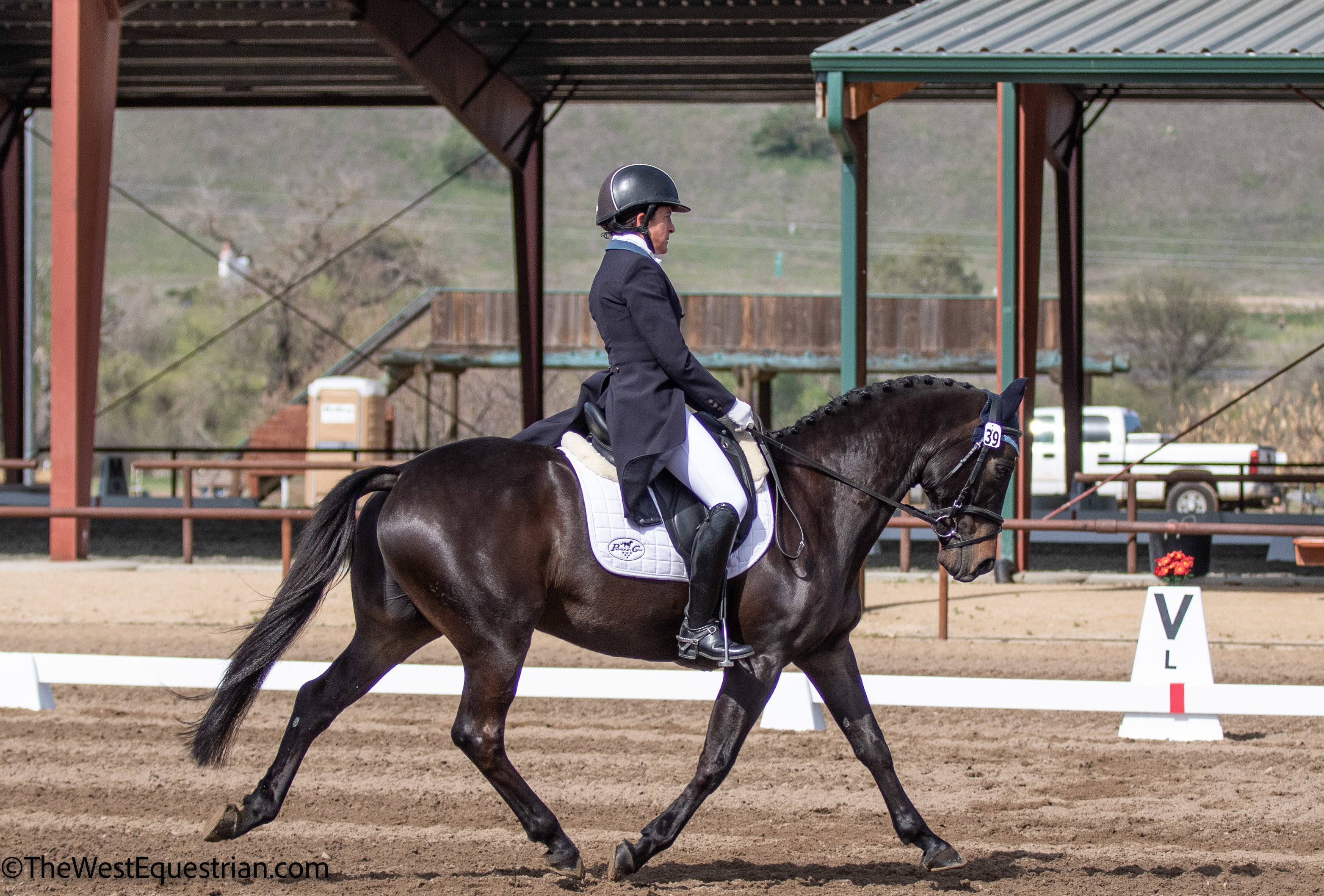 スポーツ・フィットネス Enjoying Dressage 2 USEA | Cinzano Captures Inaugural Twin Rivers CCI4*-L Dressage Lead