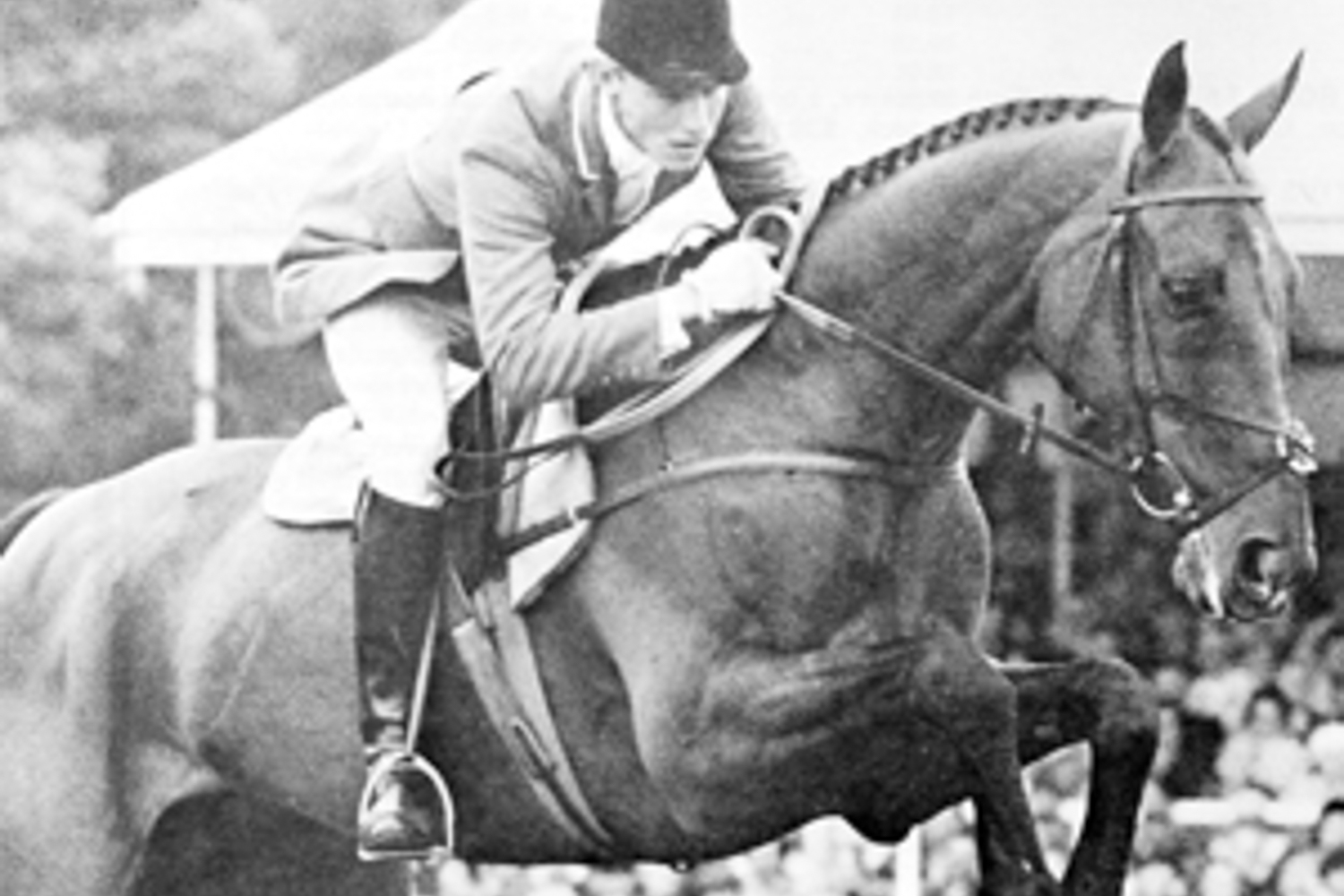 USEA | Irish Cap
